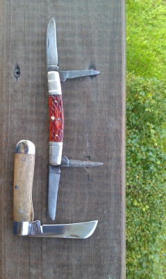 IMAG0294.jpg
