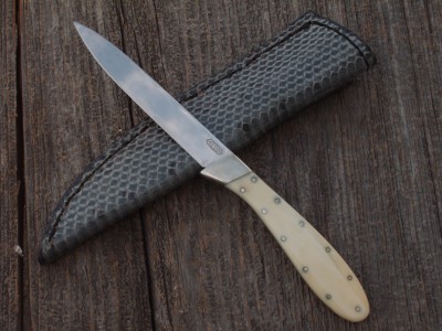 Cisco ivory.JPG
