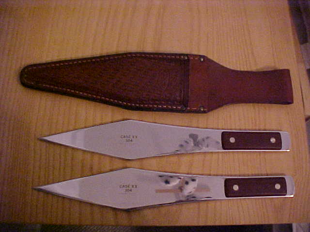 Case304Pair.JPG