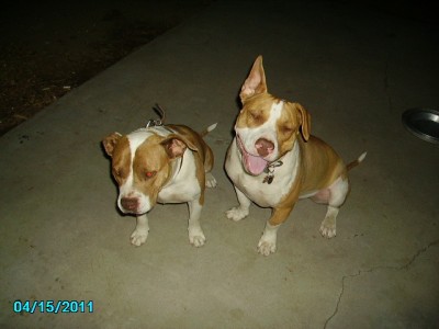 10-3-12 006.JPG