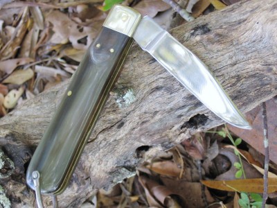 A. Wright & Son Buffalo Horn (aa).JPG