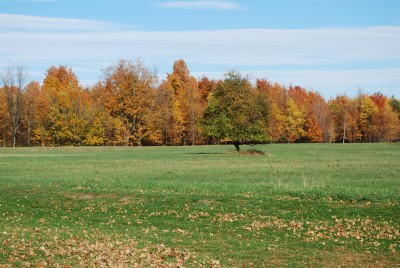 DSC_0004.JPG