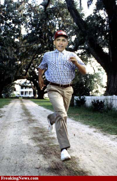 Run Forest Run.jpg