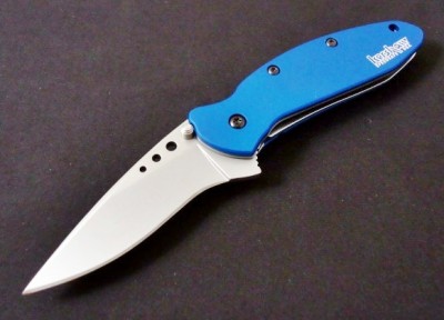 Kershaw Scallion Blue.jpg