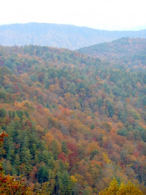 DSCN0892.JPG