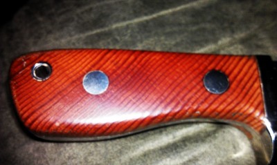 IMAG0928.jpg