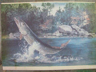 SchradeWaldenPic1.jpg