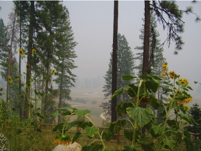 smoky valley.jpg
