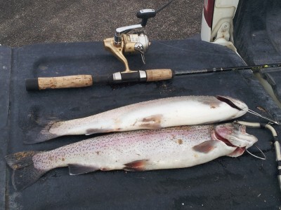 South Fork trout.jpg
