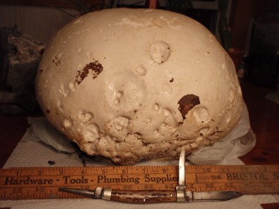 PA102895.jpg