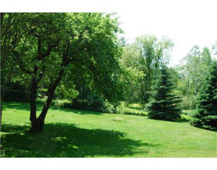 Back Yard.jpg