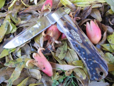 GEC #735111LT Burnt Stag (b).JPG