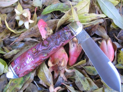 GEC #852112 Red Abalone LG (bb).JPG
