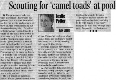 Camel_Toads.jpg