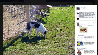 screenshot_01 2.jpg