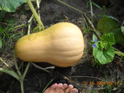 10-15-09 917am.jpg