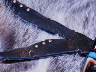 CRW_7512.jpg