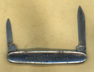Dolphin a.jpg