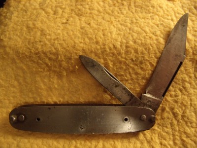 needs new scales 002.jpg
