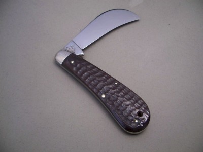 HAWK 005.JPG