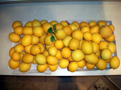 Freshly picked..