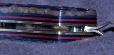 CRW_7552.jpg