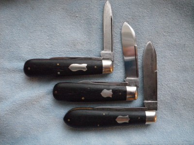 Hibbard Spenser Bartlett, Dwight Divine &amp; Sons, Cattaraugus