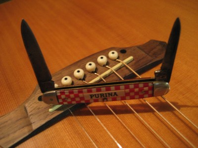 purina 002.jpg