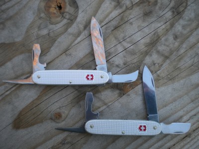 SAK ALOX JAN.2013 023.JPG