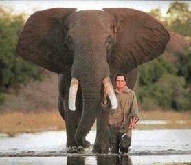 peter and elephant.jpg