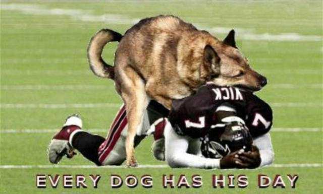 Dog & Vick.jpg