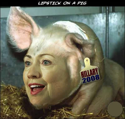 lipstick_on_a_pig.jpg