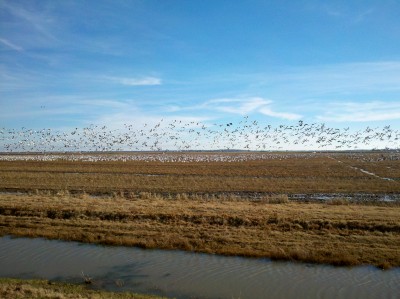 2013-01-11_09-15-10_360.jpg