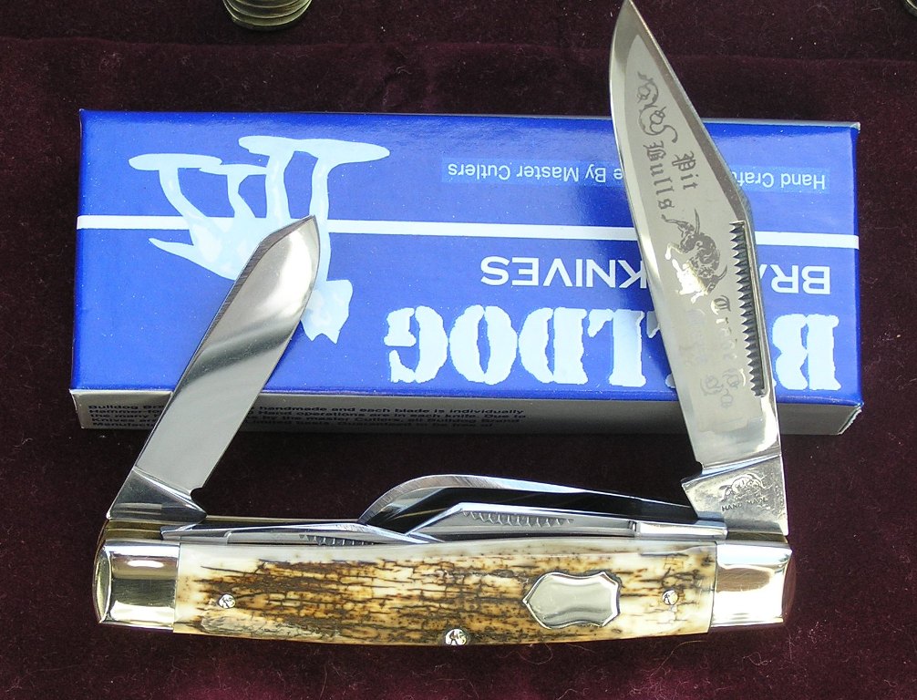 Bulldog 016.jpg