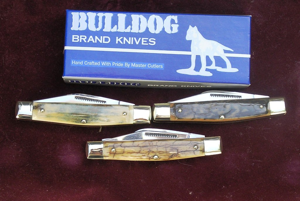 Bulldog 031.jpg