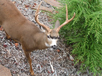 PICT0023.JPG