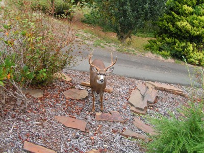 PICT0010.JPG