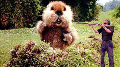 Obama Groundhog.jpg