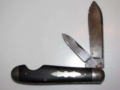EZOpenCamillus1.jpg