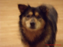 toe&dog 020.JPG