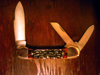 IMAG0131.JPG