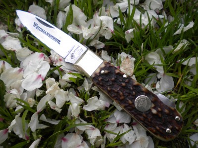 EBAY 8 022.JPG