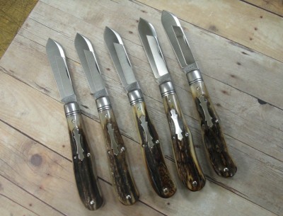 stag 001.JPG