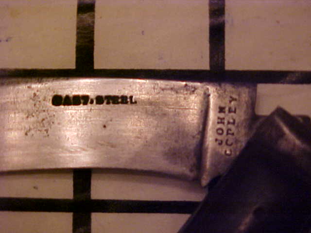 JohnCopleyHawkbill2.JPG