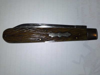 IMAG0433.jpg