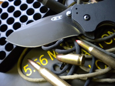 ZT 0350 007.JPG