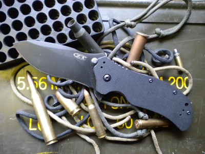 ZT 0350 009.JPG
