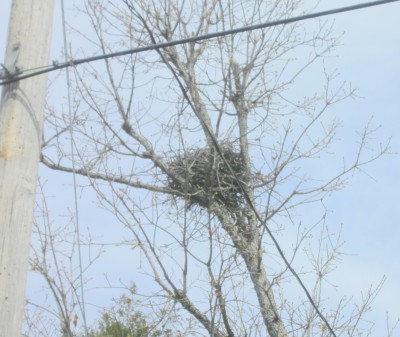 Eagles Nest 001.jpg