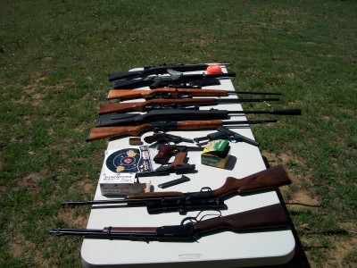 Selections of .22s - and one pellet gun.