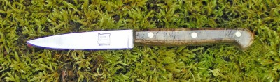 Paring knife 1.jpg